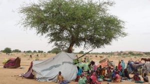 البابا يدعو للكفاح من أجل السلام فالإنسانية في خطر